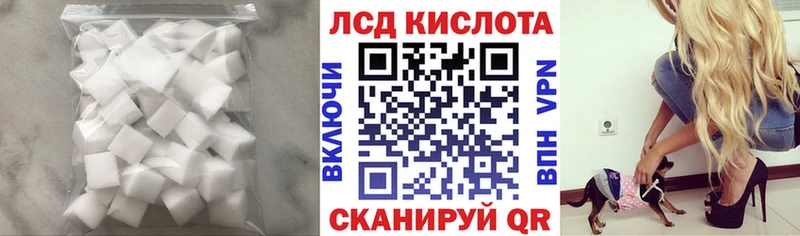 как найти закладки Судак Лсд 25 экстази ecstasy
